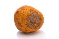 fruit quality detection project thumbnail