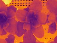 thermal project thumbnail