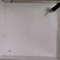 pd-top-view-keypoints-g1 project thumbnail