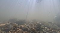 minnow-test-detections project thumbnail