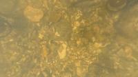 minnow-test-detections-top project thumbnail