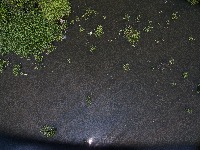 Plastic free River project thumbnail