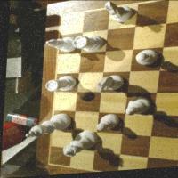Chess pieces detection project thumbnail