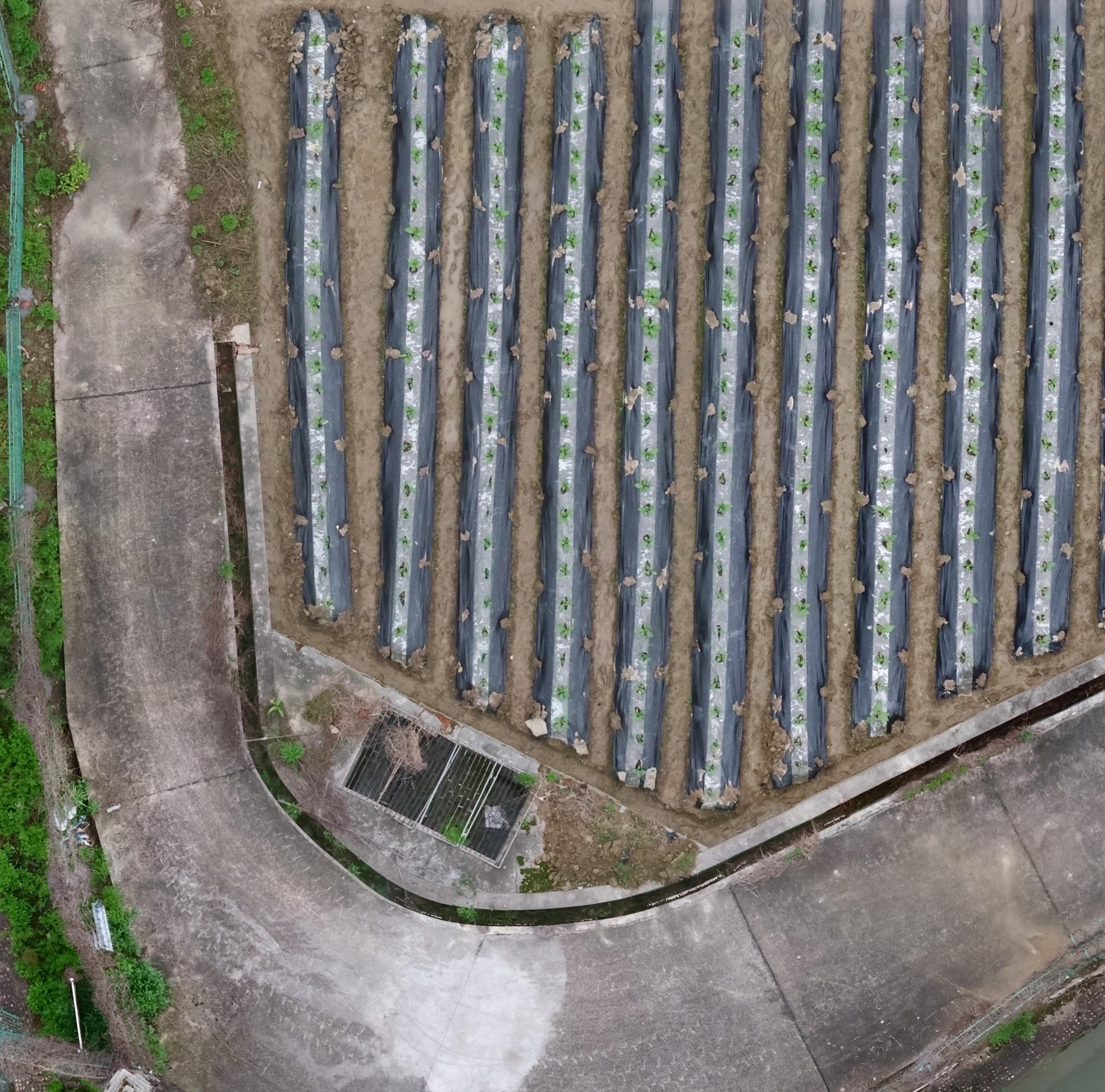 Python+ (python-h14h5) - Roboflow Universe