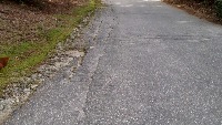Chicken Detection project thumbnail