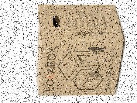 Parcel 3.0 project thumbnail