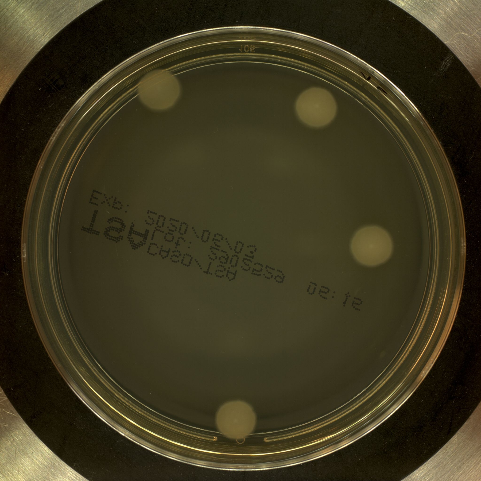 cfu Object Detection Dataset and Pre-Trained Model by Harizaldy Cahya ...