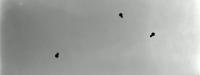 m3-bolts project thumbnail