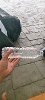 test-pet project thumbnail