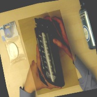 Dataset Image