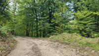 road damages spring project thumbnail