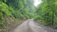 forest road damages project thumbnail