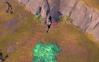Dataset Image