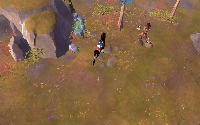 Dataset Image