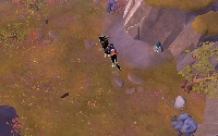 Dataset Image