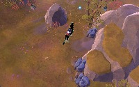 Dataset Image