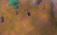 Dataset Image