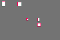 Model & API