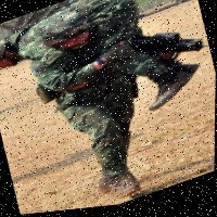 Dataset Image
