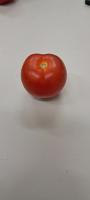 Detection & Counter Tomato project thumbnail