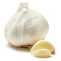 garlic chicken project thumbnail