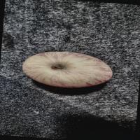 Daily Day Item Detection project thumbnail