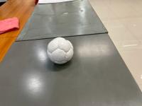 Trian ai boccia ball project thumbnail