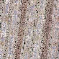 cotton project thumbnail