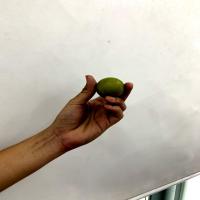 fruits project thumbnail