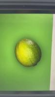 Limes project thumbnail