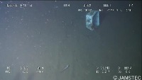 Trash Detection - ICRA19 Dataset project thumbnail