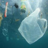 Find plastics and bags project thumbnail
