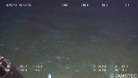 Trash Detection - ICRA19 Dataset project thumbnail