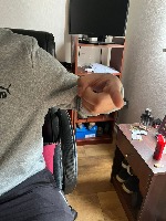 Dataset Image