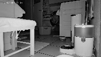 Katzendetektion project thumbnail