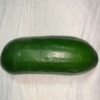 tomato,pepper,cucumber project thumbnail