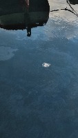 Ocean Plastics Waste Detection - Float Plastics project thumbnail