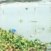 Filtered Sea Debris project thumbnail