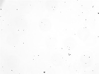 mm project thumbnail