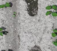 soy7_20250707 project thumbnail