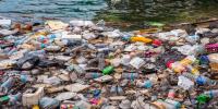 trash-type-detection project thumbnail