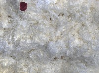 dust project thumbnail