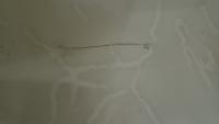 Hair project thumbnail