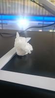 My First Project project thumbnail
