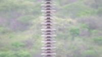 Insulator detection project thumbnail