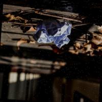 gloved Detection project thumbnail