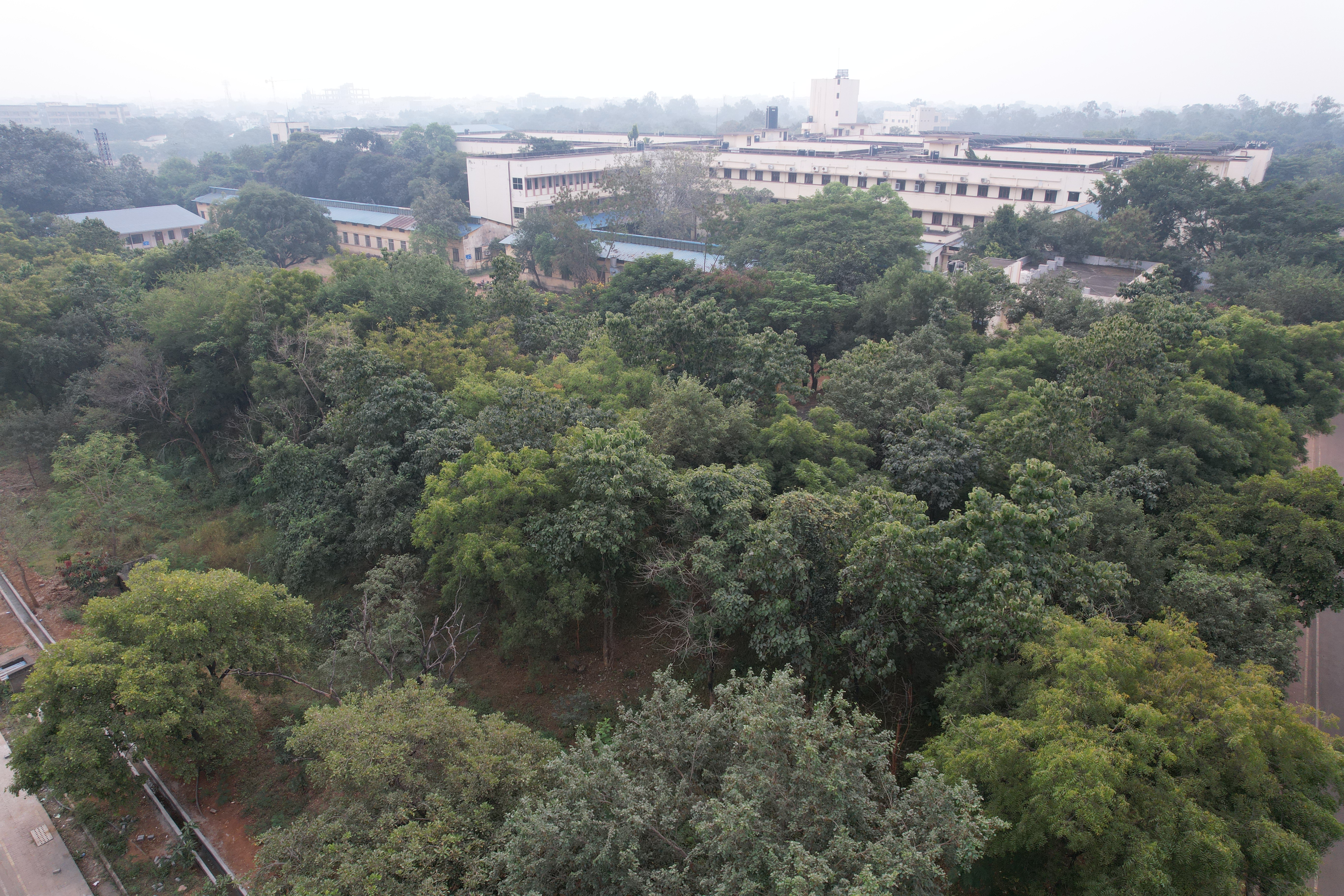nit raipur (nit-raipur-bquel) - Roboflow Universe