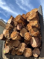 segment wood project thumbnail