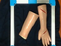 Dataset Image