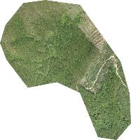 Canopy project thumbnail